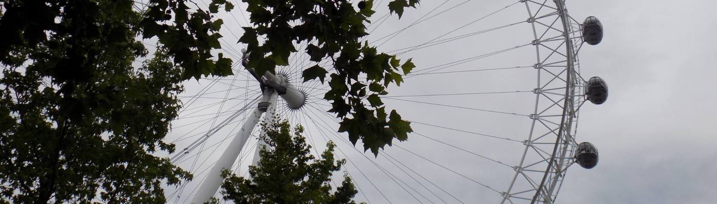 London Eye View From Park