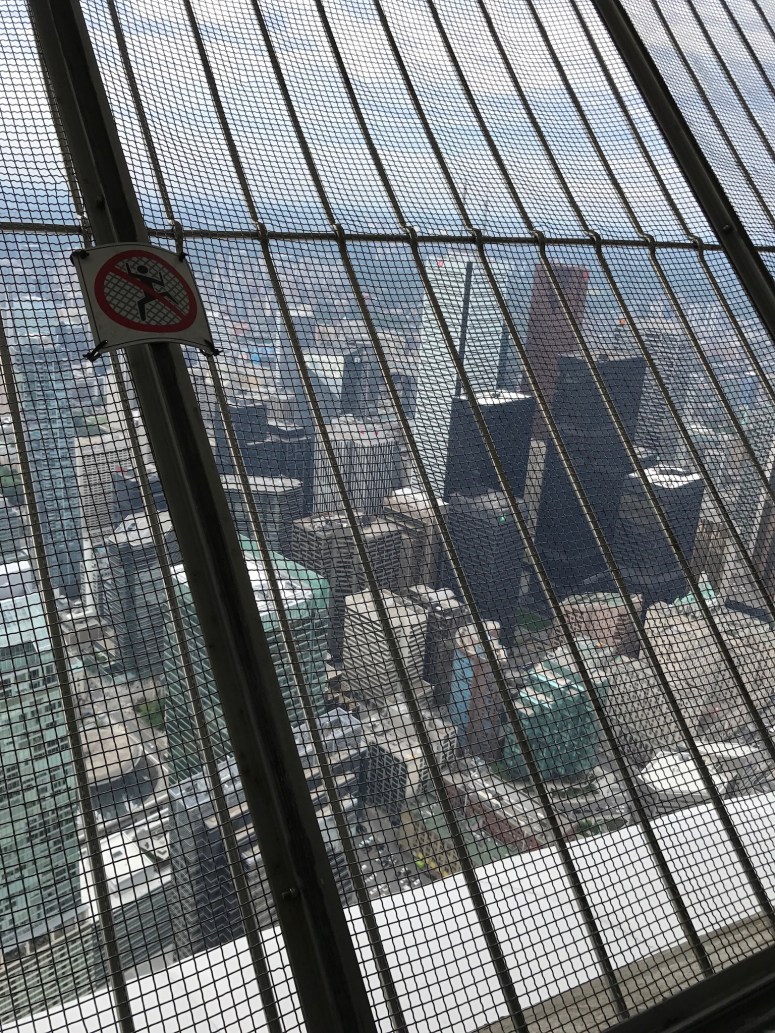 View from the CN Tower