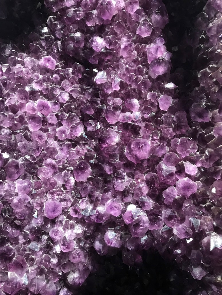 Royal Ontario Museum