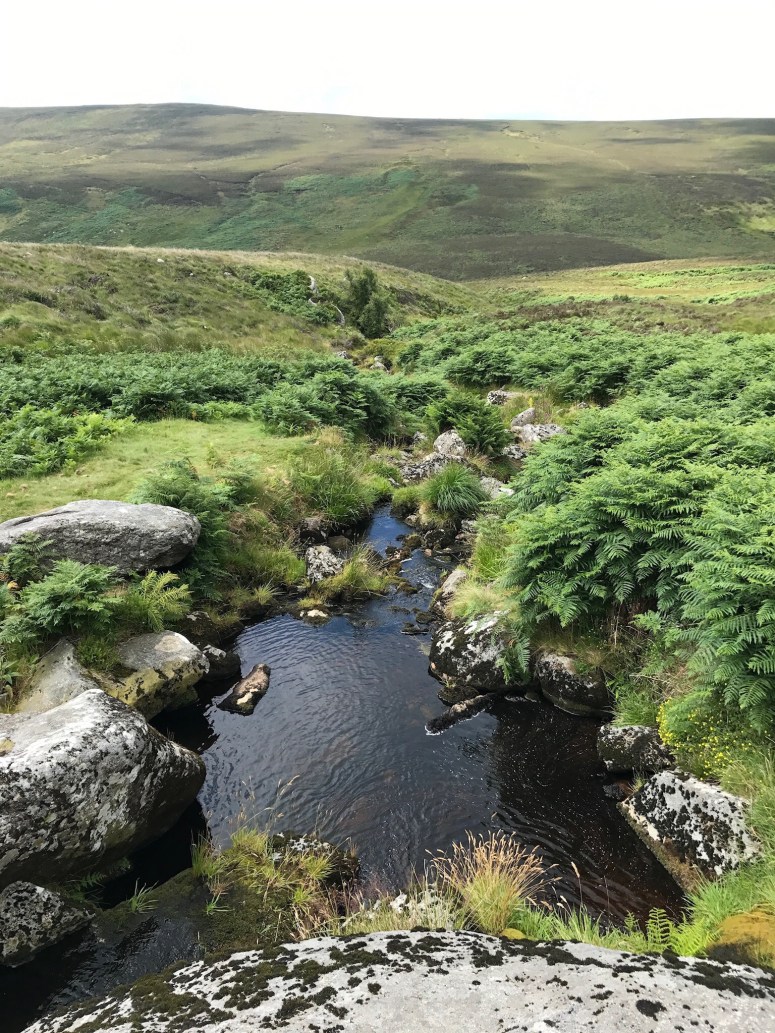 Wicklow Mountains in Ireland