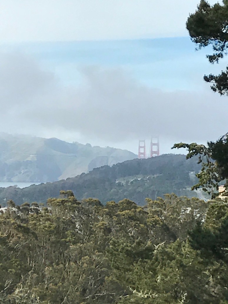Golden Gate Bridge from a Distance