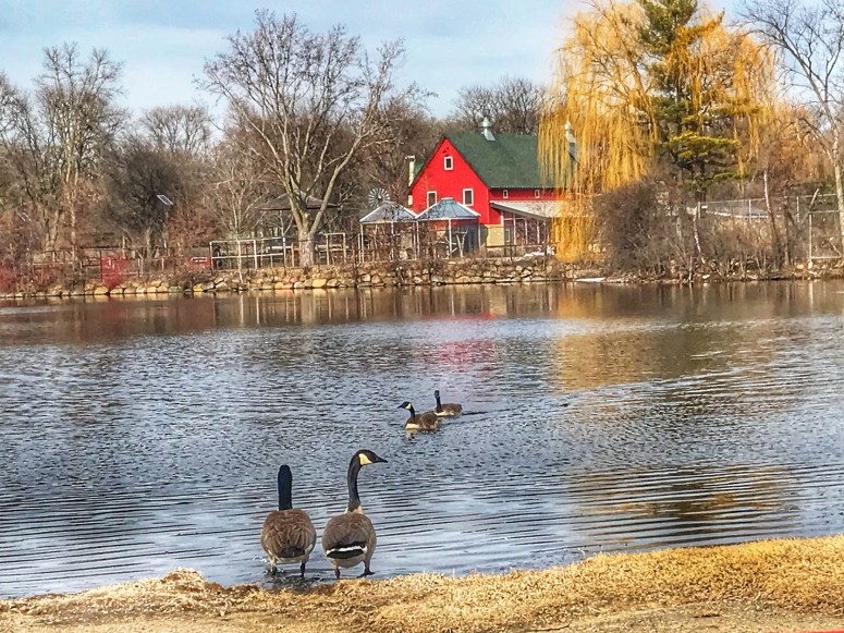 Just Another Day at Vilas Park