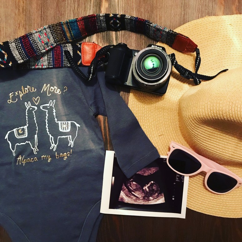 Travel Themed Pregnancy Announcement