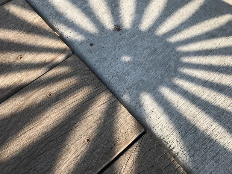 Shadow from a Union Terrace Chair